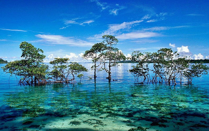 HD-wallpaper-andaman-and-nicobar-islands-lakes-islands-nature-water